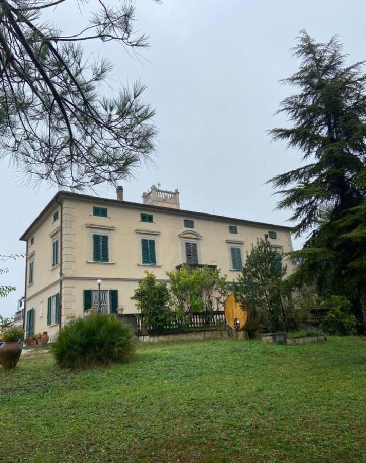 Affittacamere Porquier Crespina Εξωτερικό φωτογραφία