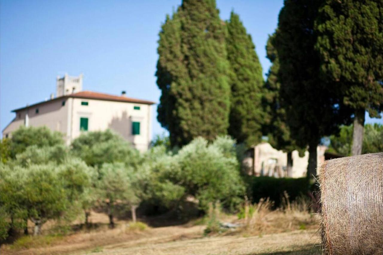 Affittacamere Porquier Crespina Εξωτερικό φωτογραφία